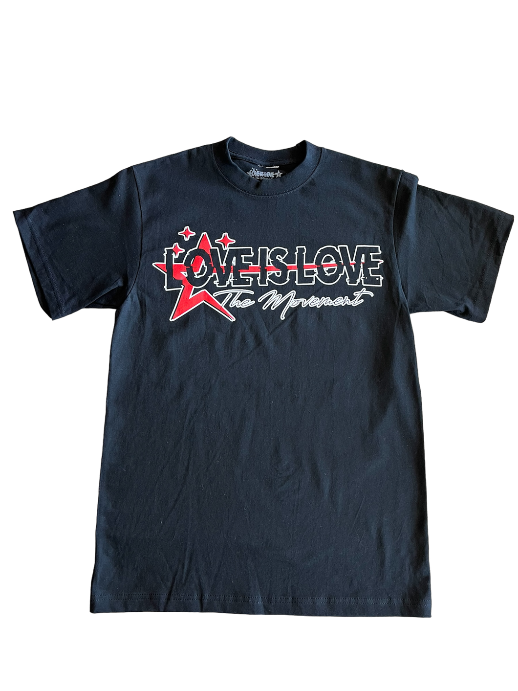 LoveIsLoveMovement Short Sleeve T